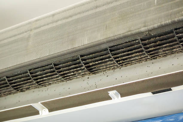 Best Air Duct Cleaning Near Me  in Somerville, NJ